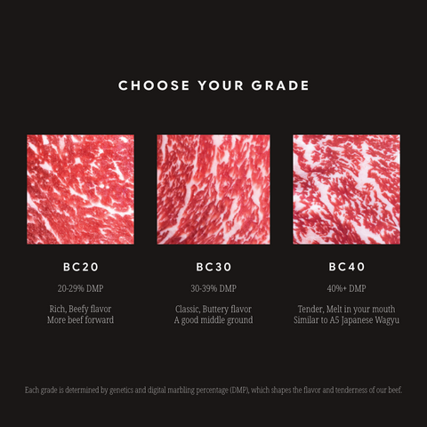 Wagyu Ribeye Steak